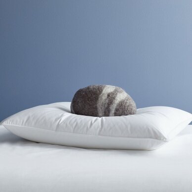 Žąsų pūkinė pagalvė su tiku (90%-pūkų, 10%-plunksnų) EXCLUSIVE ULTRA , 60x60 cm 2